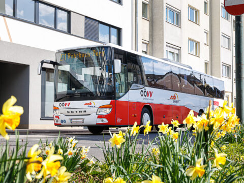 OÖVV-Bus Frühling